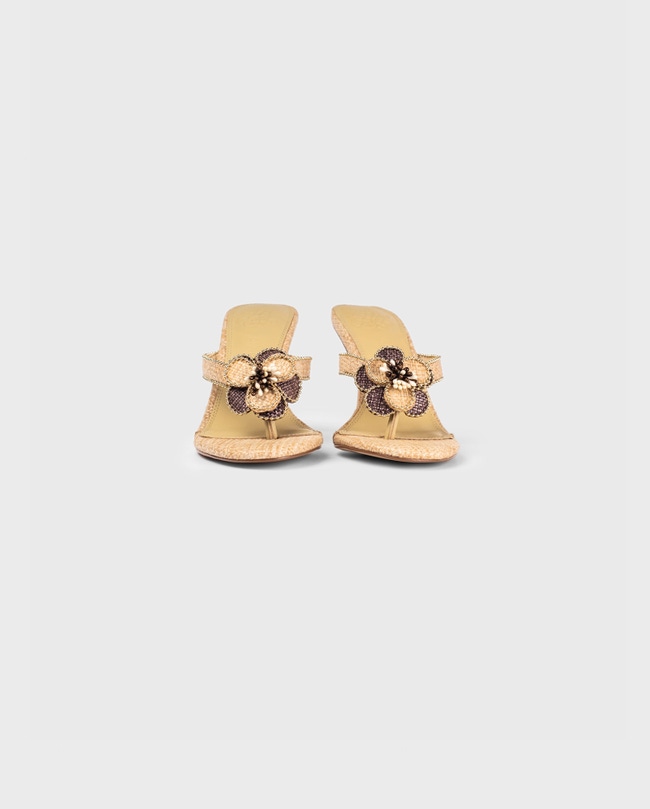 Anitz Heel