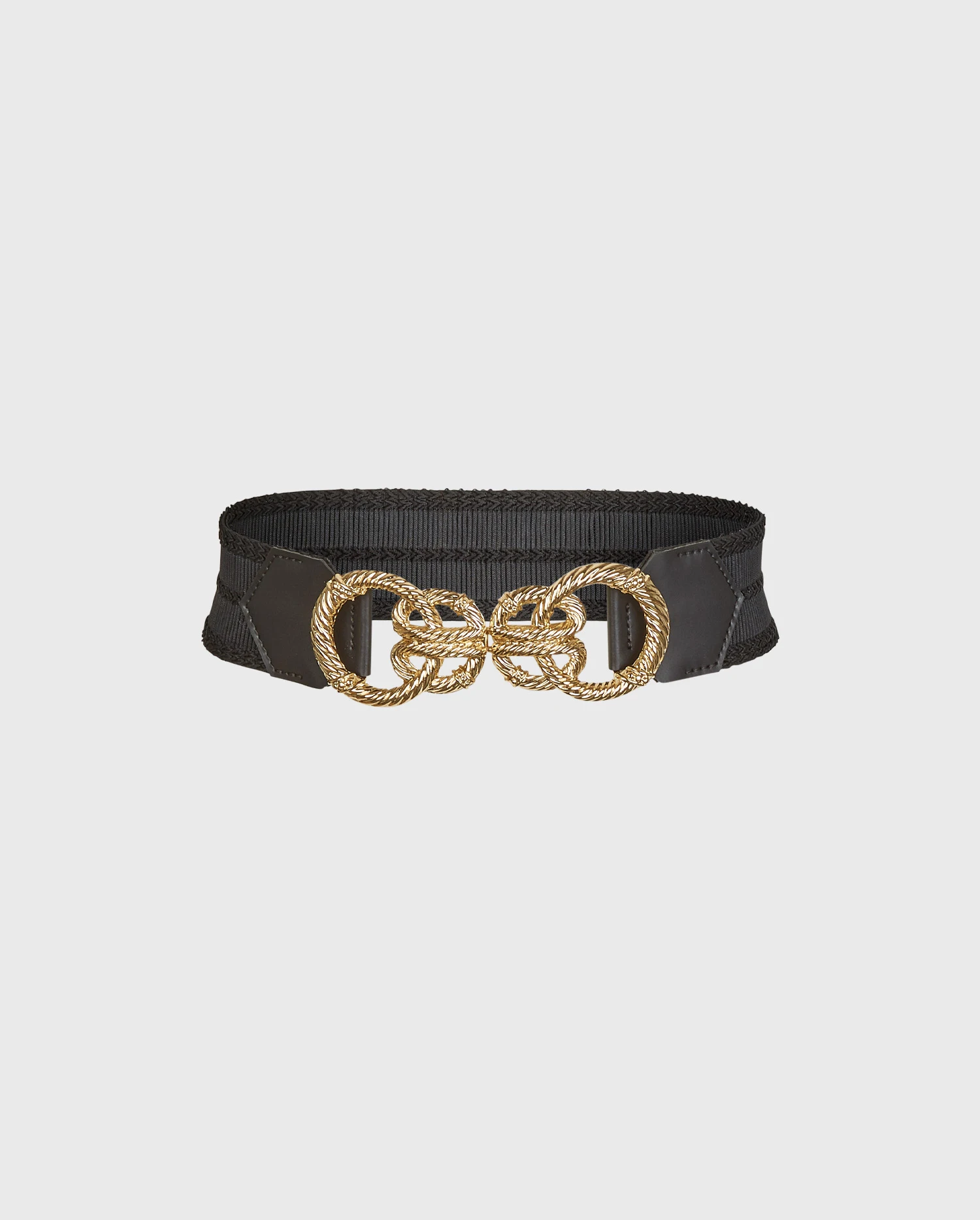 Aster Belt