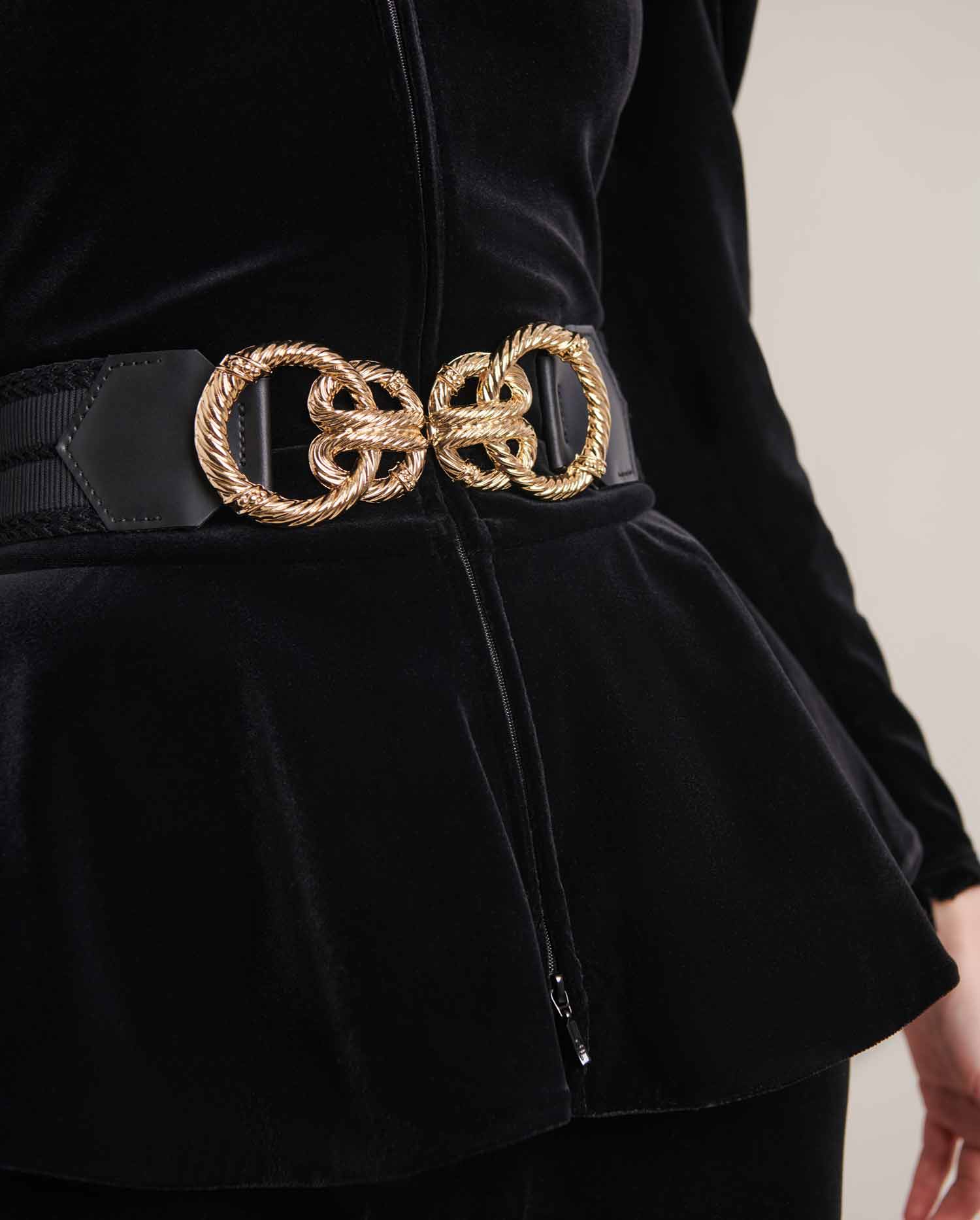 Aster Belt