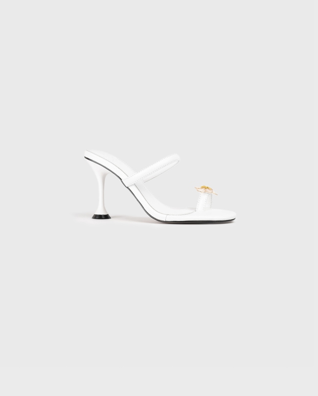 Aznar Heel