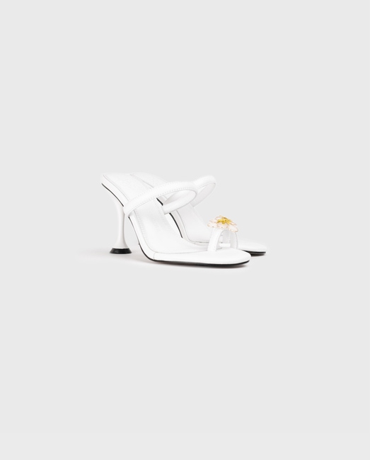 Aznar Heel