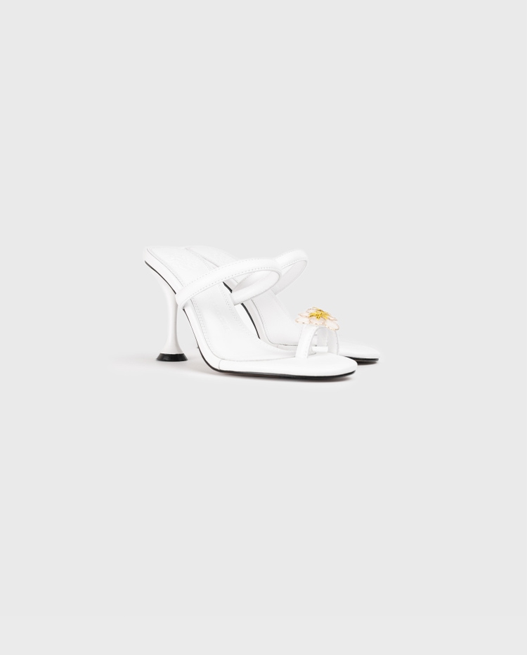 Aznar Heel