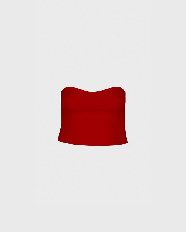 Novelist Top
