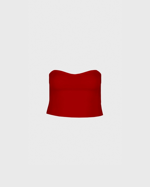 Novelist Top