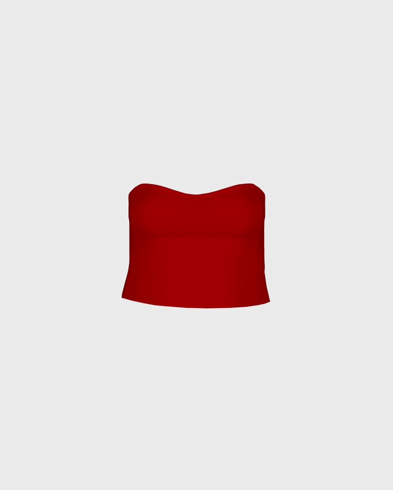 Novelist Top