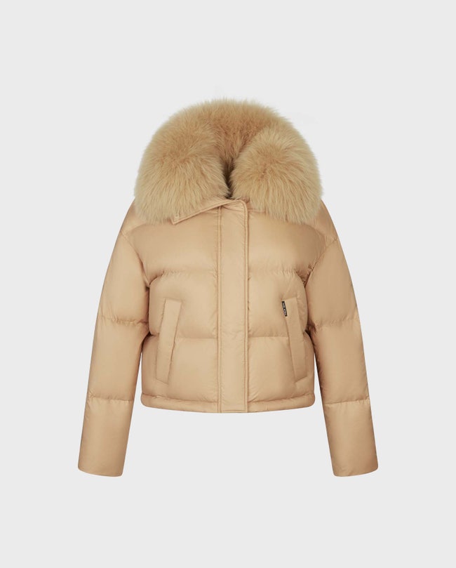 Fantastic Jacket