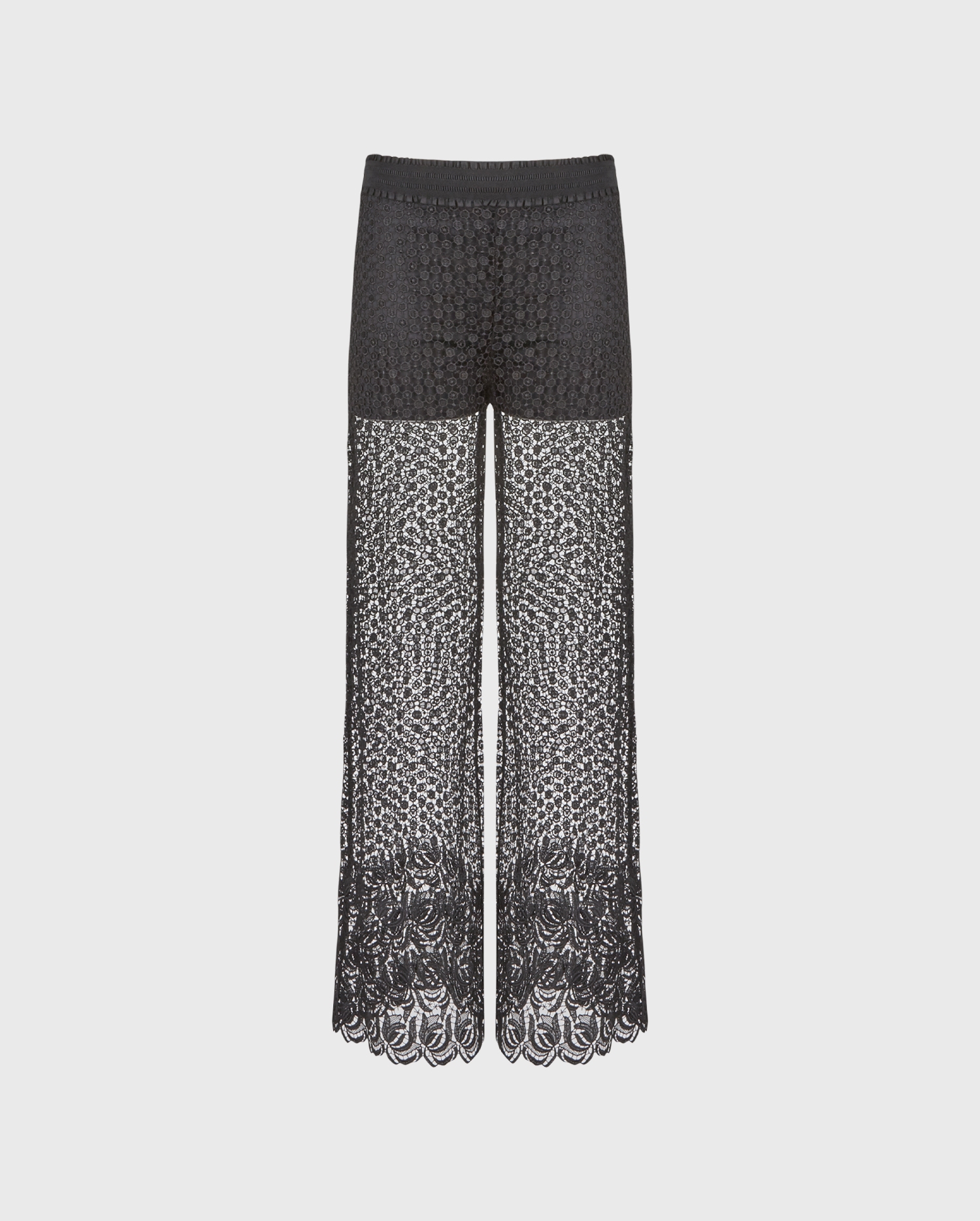 Ignia Pant