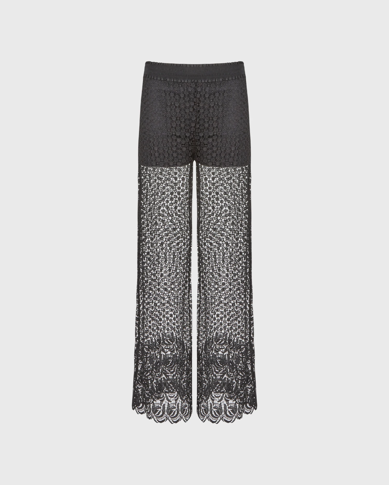 Ignia Pant