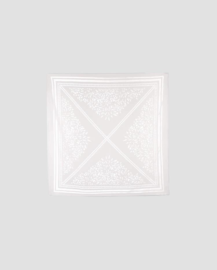 Anne Fontaine  Scarf Image #1