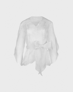 Luxury Blouse