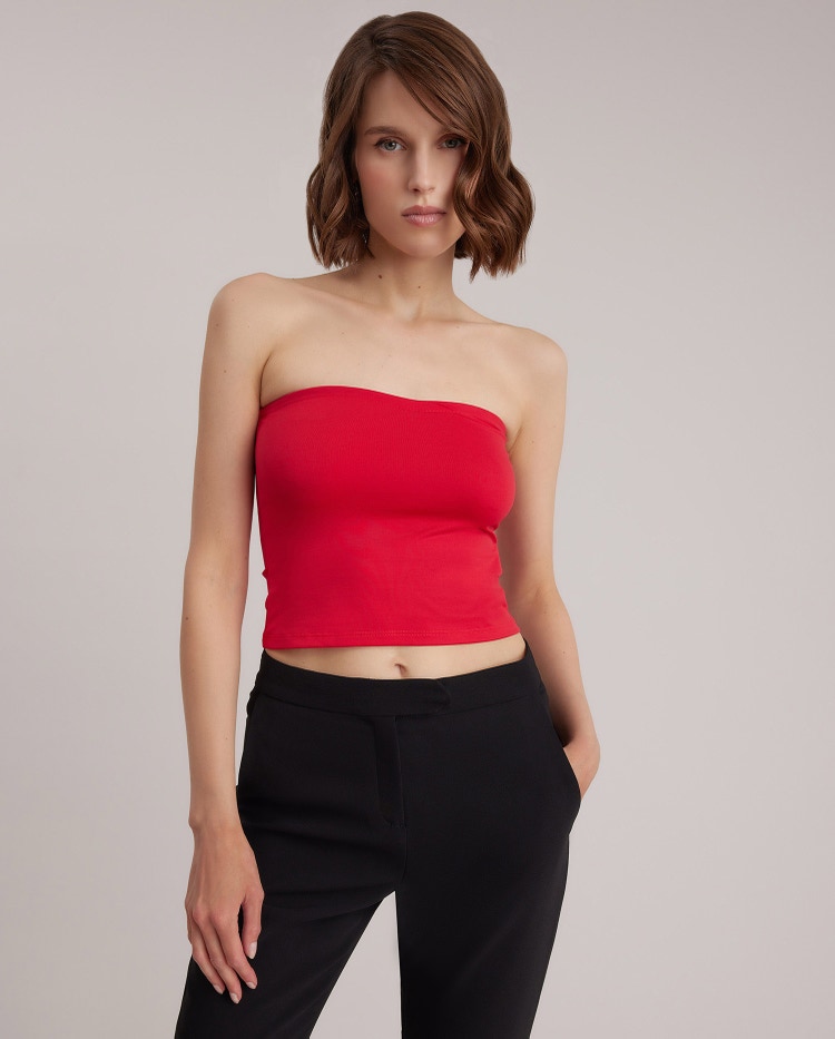 Novelist Top