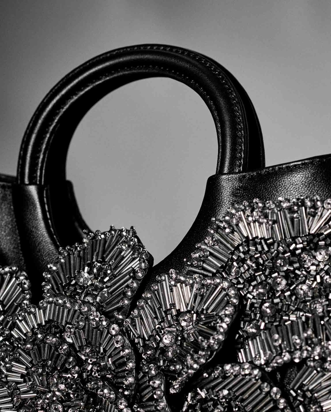 Scarlett Star Meteorite Handbag