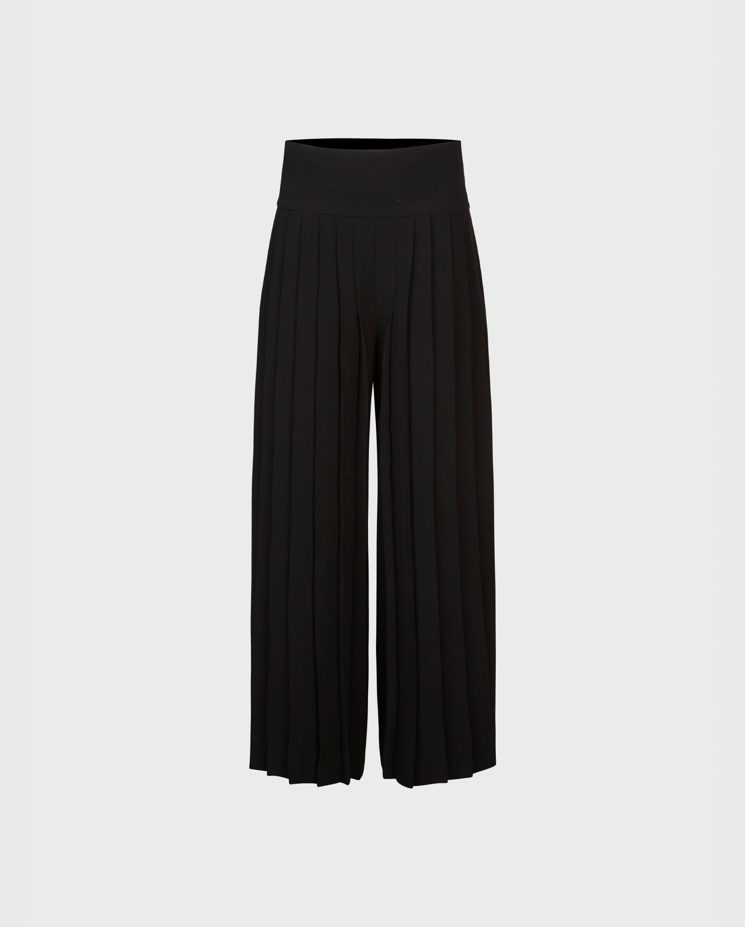 Black pleated wide leg pant with wide waistband