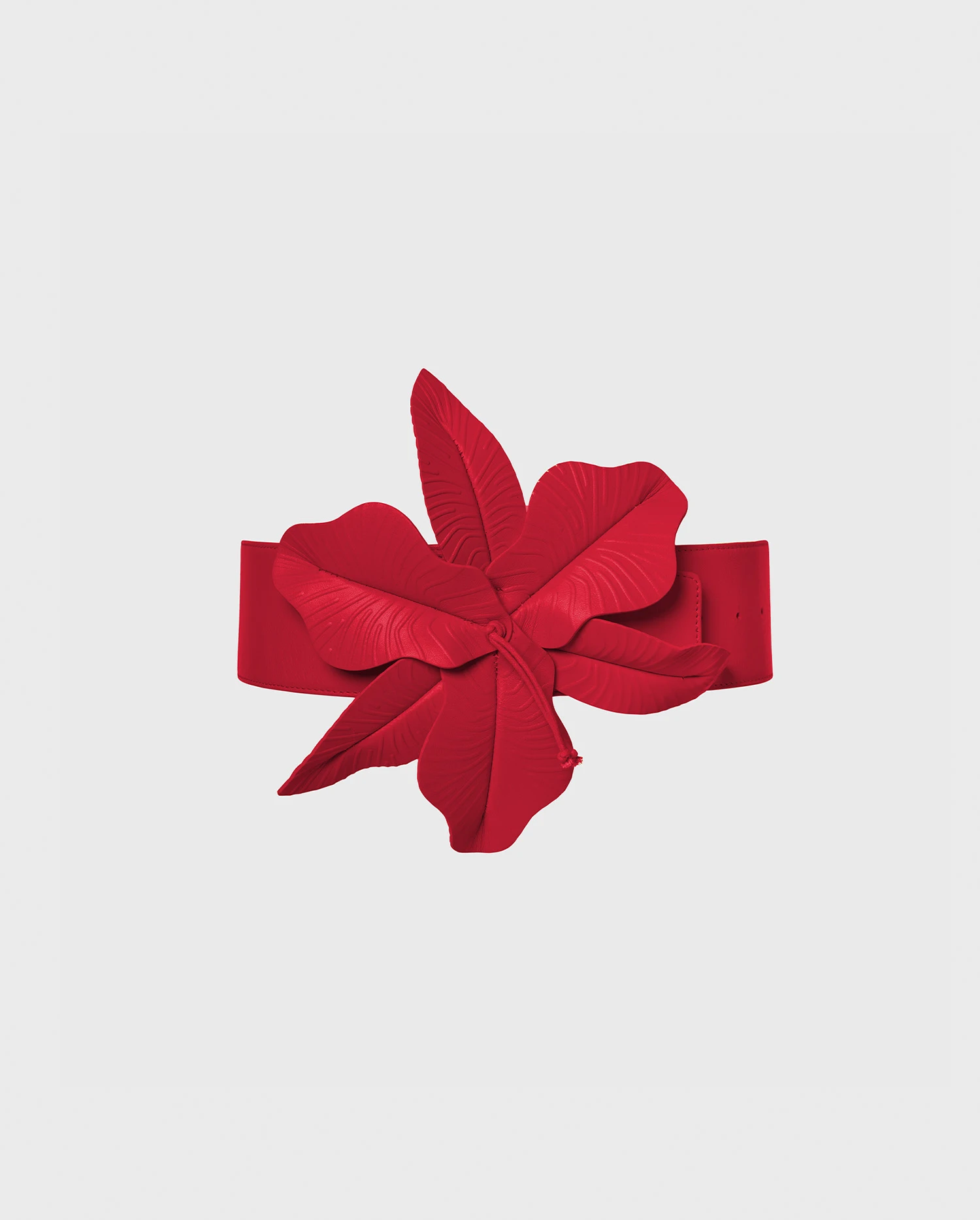 Discover The CARRIE Wide leather belt with an oversized flower from ANNE FONTAINE