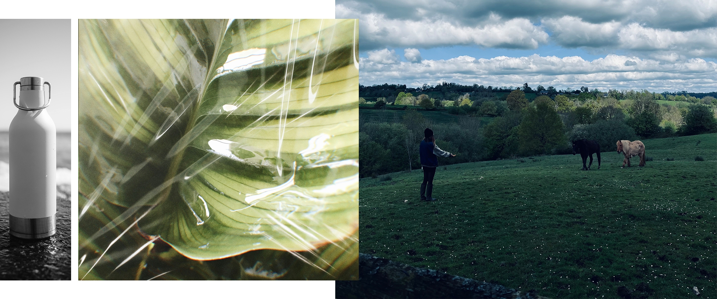 Discover the ANNE FONTAINE Ode to World Recycling Day 