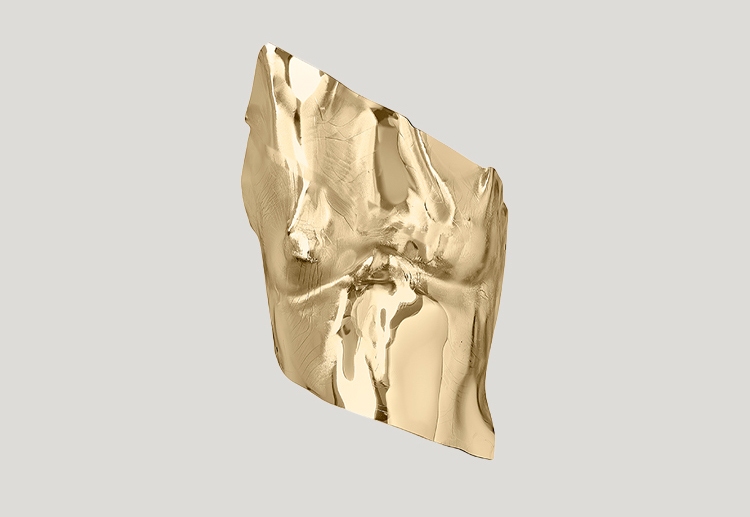 Discover the Agata Gold Metallic Strapless Hand Crafted Corset  from designer ANNE FONTAINE
