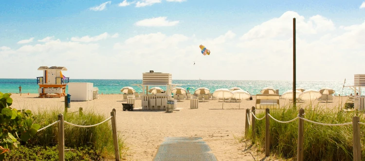 Discover the ANNE FONTAINE Miami Visitor Guide
