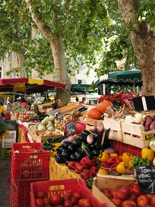 Discover the ANNE FONTAINE Pre Fall  2025 Collection