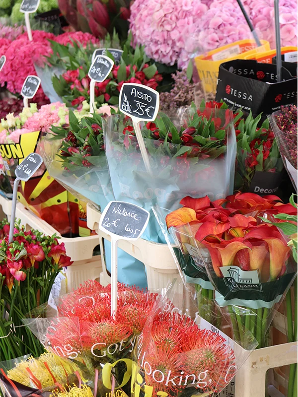 Discover the ANNE FONTAINE Pre Fall 2025 Collection