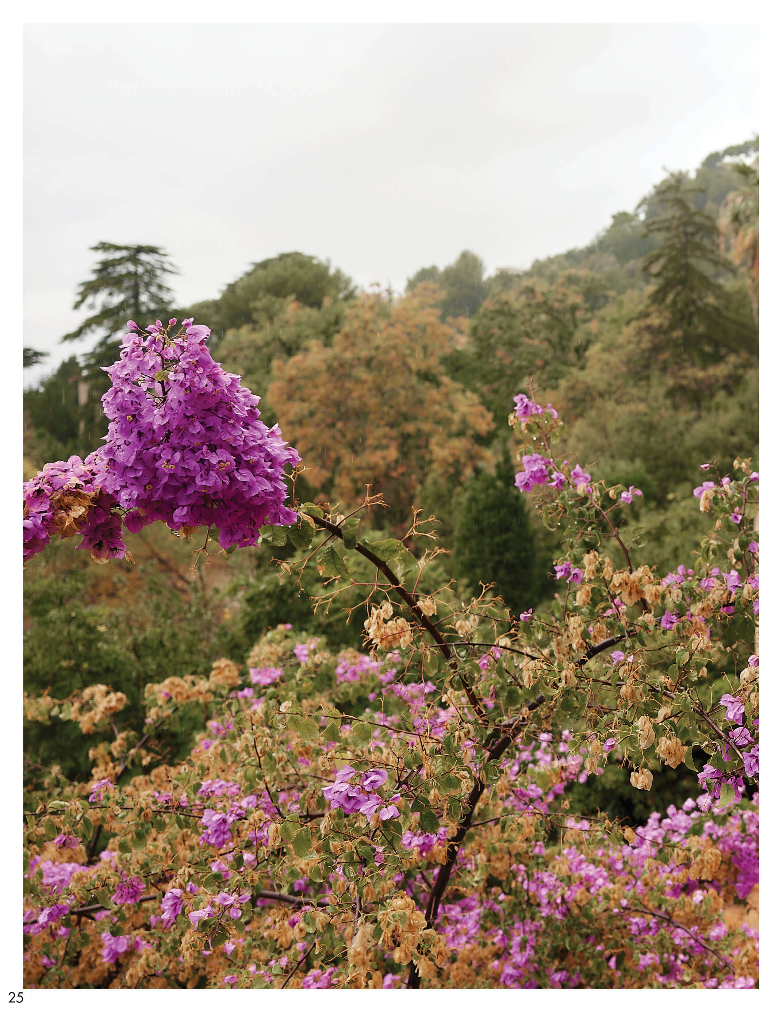The new Anne Fontaine Spring-Summer 2023 collection is a celebration of artistry and craftsmanship. Strength and beauty, are rendered through opulent prints, colors, and styles that transport you toward a vision of the future light.