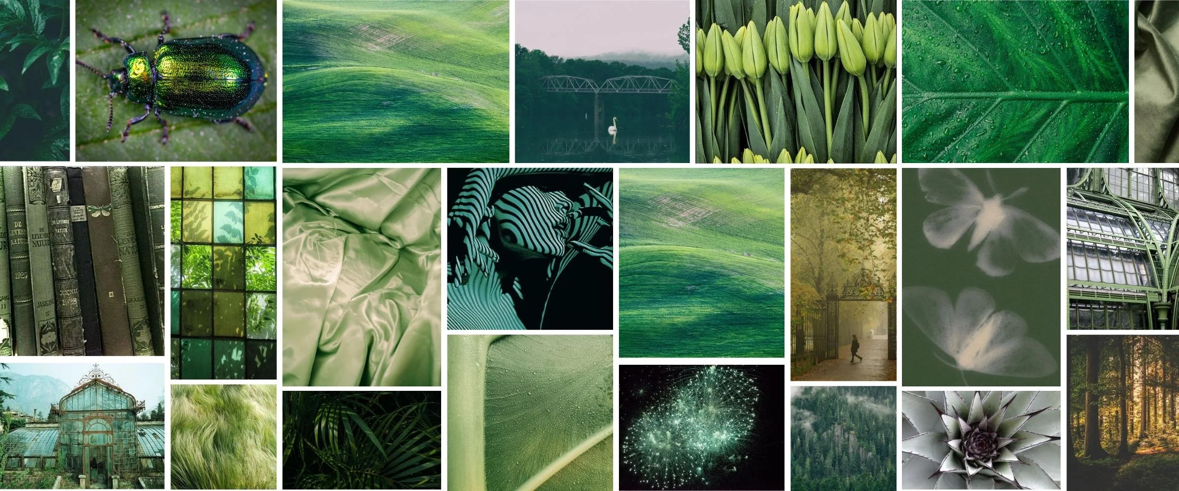 The new Pre-Fall 2023 Collection from Anne Fontaine features vibrant green colorways that illuminate the designer's affinity for the wild, untamed beauty of nature. Green represents an endless array of tonalities and hues, from lush forests to sun-soaked 