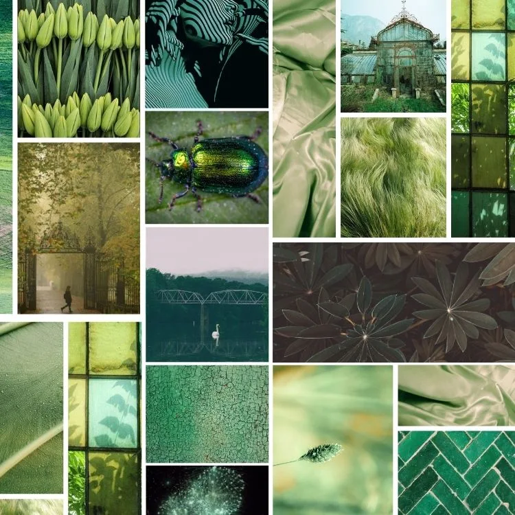 The new Pre-Fall 2023 Collection from Anne Fontaine features vibrant green colorways that illuminate the designer's affinity for the wild, untamed beauty of nature. Green represents an endless array of tonalities and hues, from lush forests to sun-soaked 