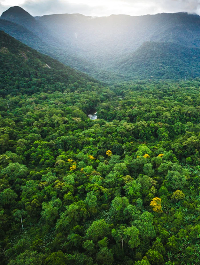 The Anne Fontaine Foundation was created in 2011 by Anne Fontaine following her unique experience living in the Amazon Forest when she was 17. This time spent in another world changed her vision of life and laid the path for the creation of the Foundation