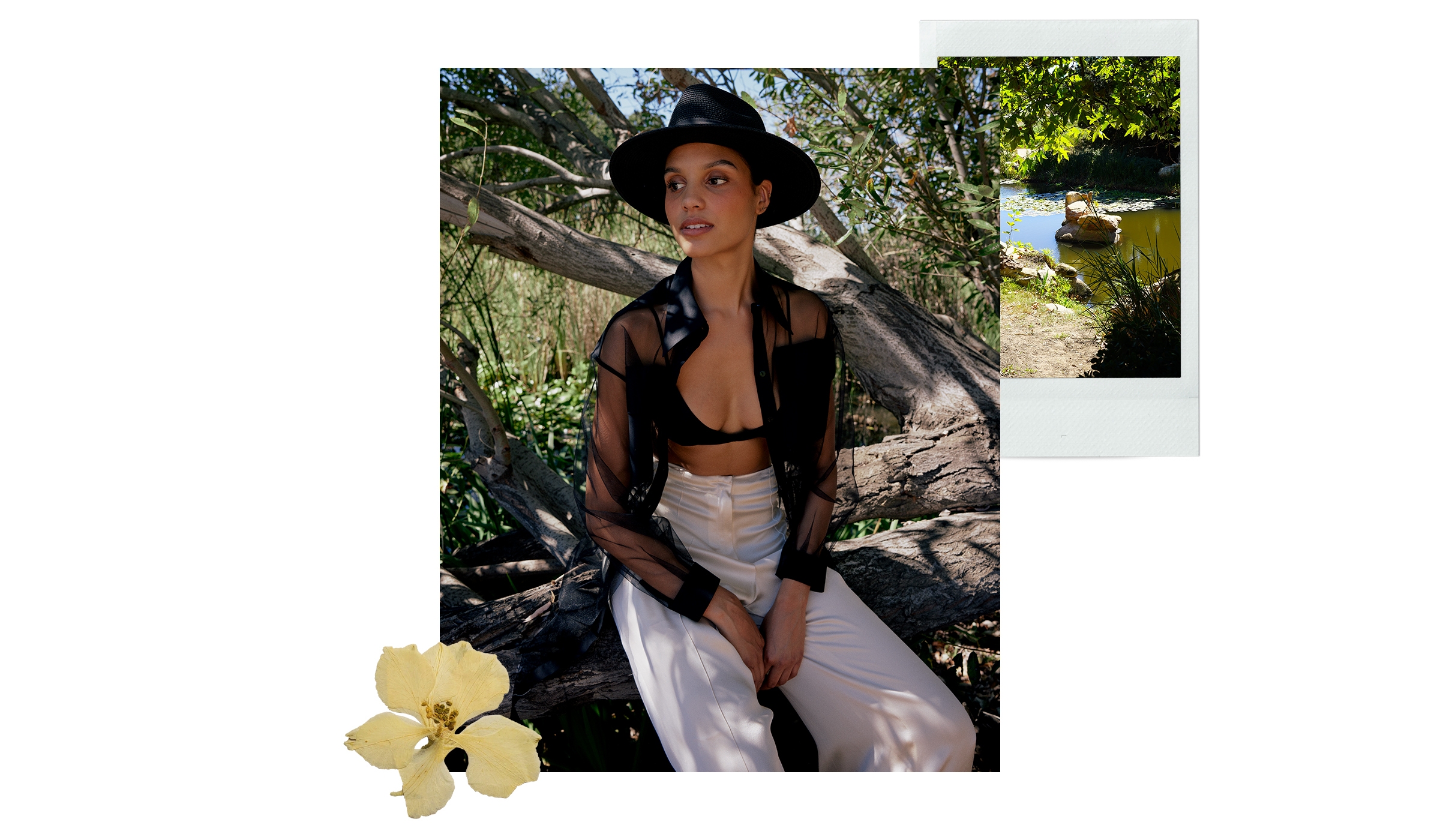 2024 ANNE FONTAINE French Riviera Collection: Grace & Allure Unveiled