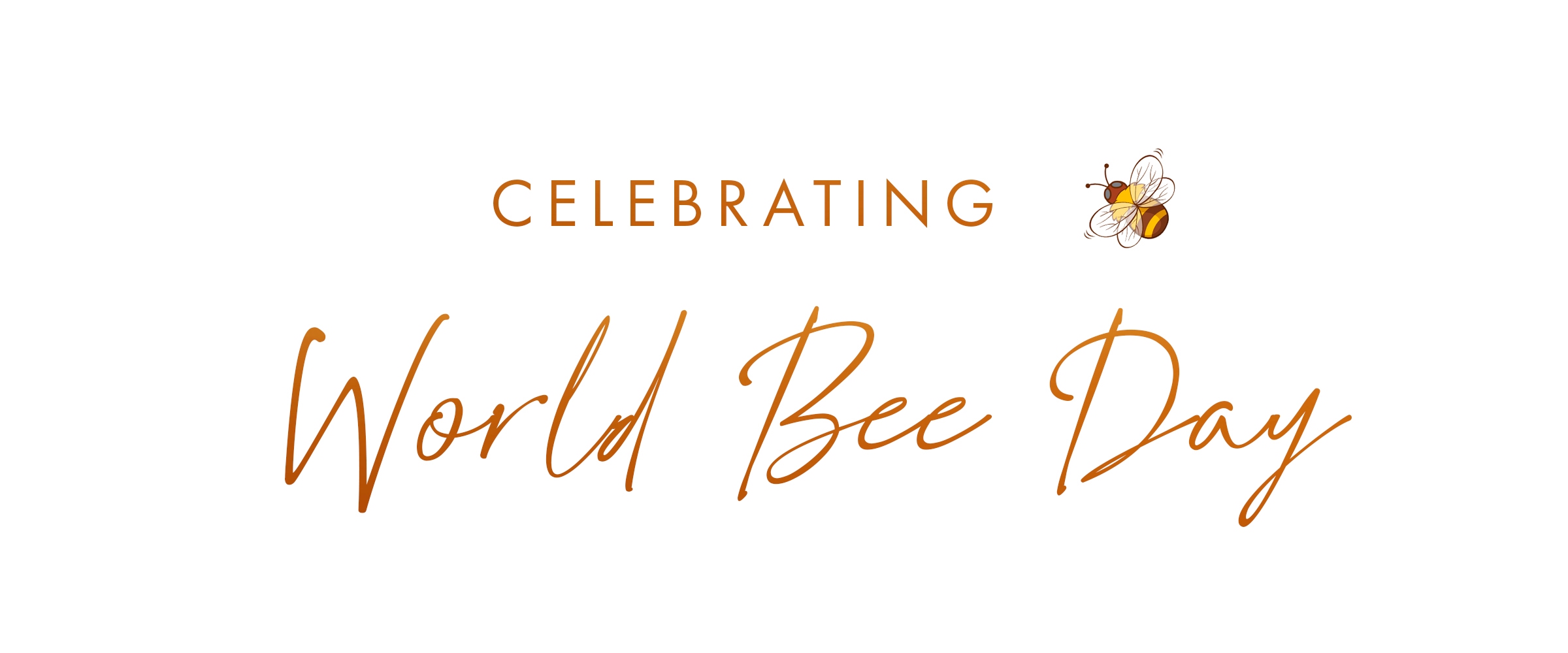 Celebrating World Bee Day With ANNE FONTAINE